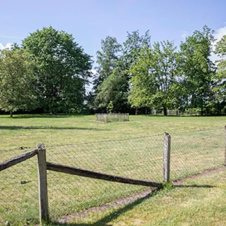 Schierbaum Apartmán *