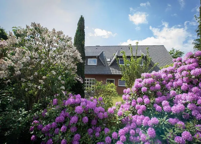 Schierbaum * Lembruch